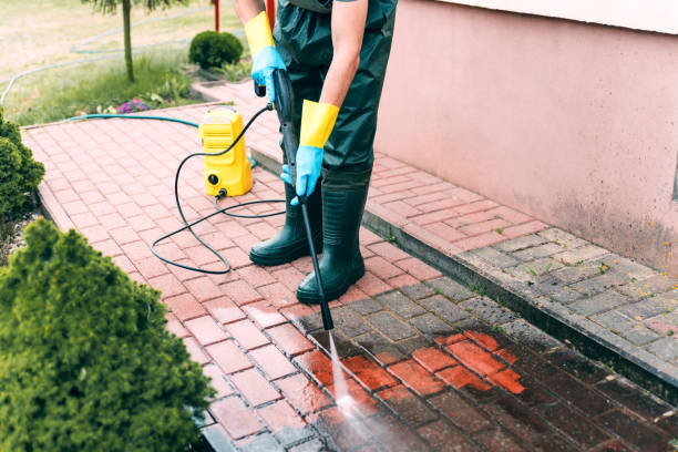 Professional Pressure Washing in Pine Grove, CA